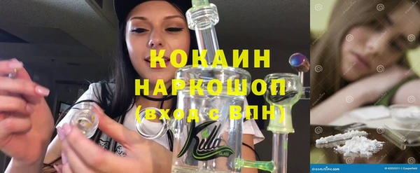 эйфоретик Покачи