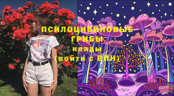 стаф Алексин