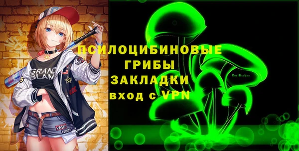 стаф Алексин
