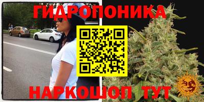 прущая мука Пушкино