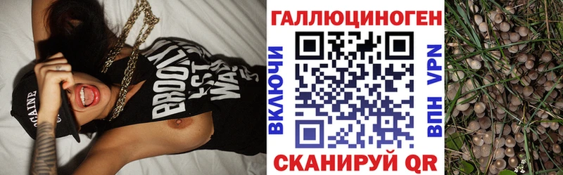 omg сайт  Ухта  Псилоцибиновые грибы прущие грибы  даркнет сайт 