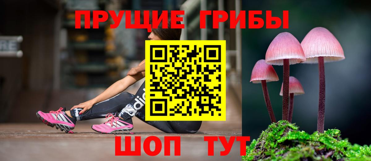 Псилоцибиновые грибы Cubensis  Вход с VPN  Ухта 